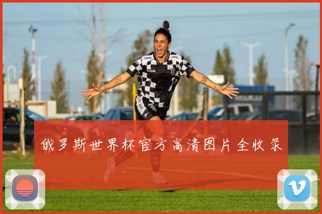 俄罗斯世界杯官方高清图片全收录