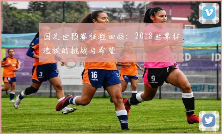国足世预赛征程回顾：2018世界杯选拔的挑战与希望