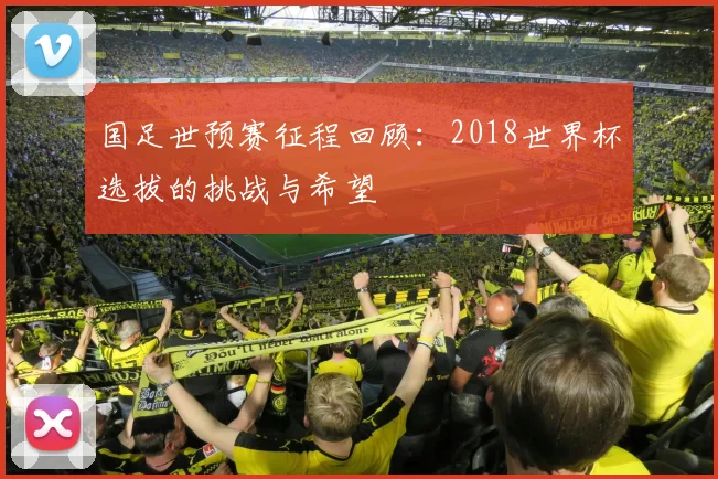 国足世预赛征程回顾：2018世界杯选拔的挑战与希望