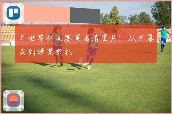 年世界杯决赛圈高清图片：从开幕式到颁奖典礼