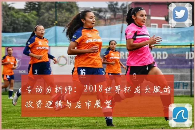 专访分析师：2018世界杯龙头股的投资逻辑与后市展望