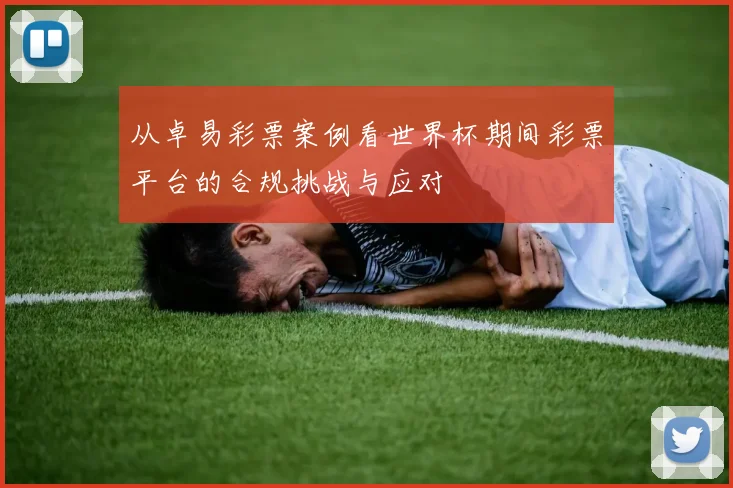 从卓易彩票案例看世界杯期间彩票平台的合规挑战与应对