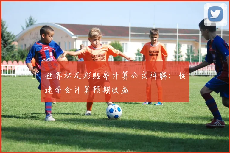 世界杯足彩赔率计算公式详解：快速学会计算预期收益