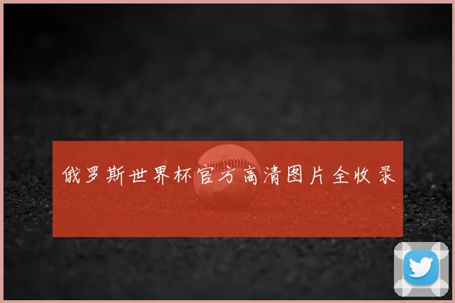 俄罗斯世界杯官方高清图片全收录