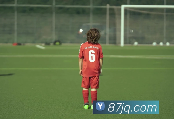 开云手机在线登录官网发展历程